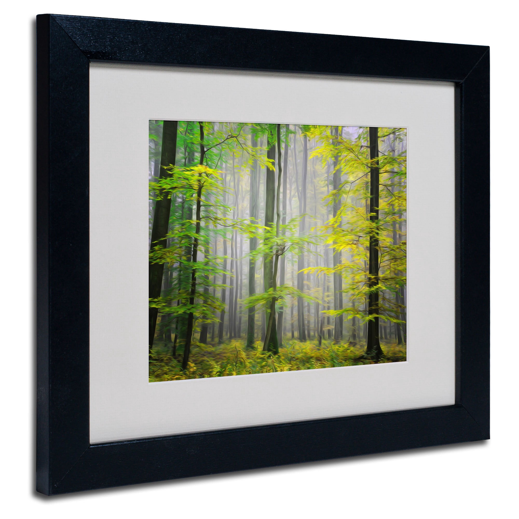 Trademark Fine Art "Sugar Low" Canvas Art by Philippe Sainte-Laudy, Wood Frame