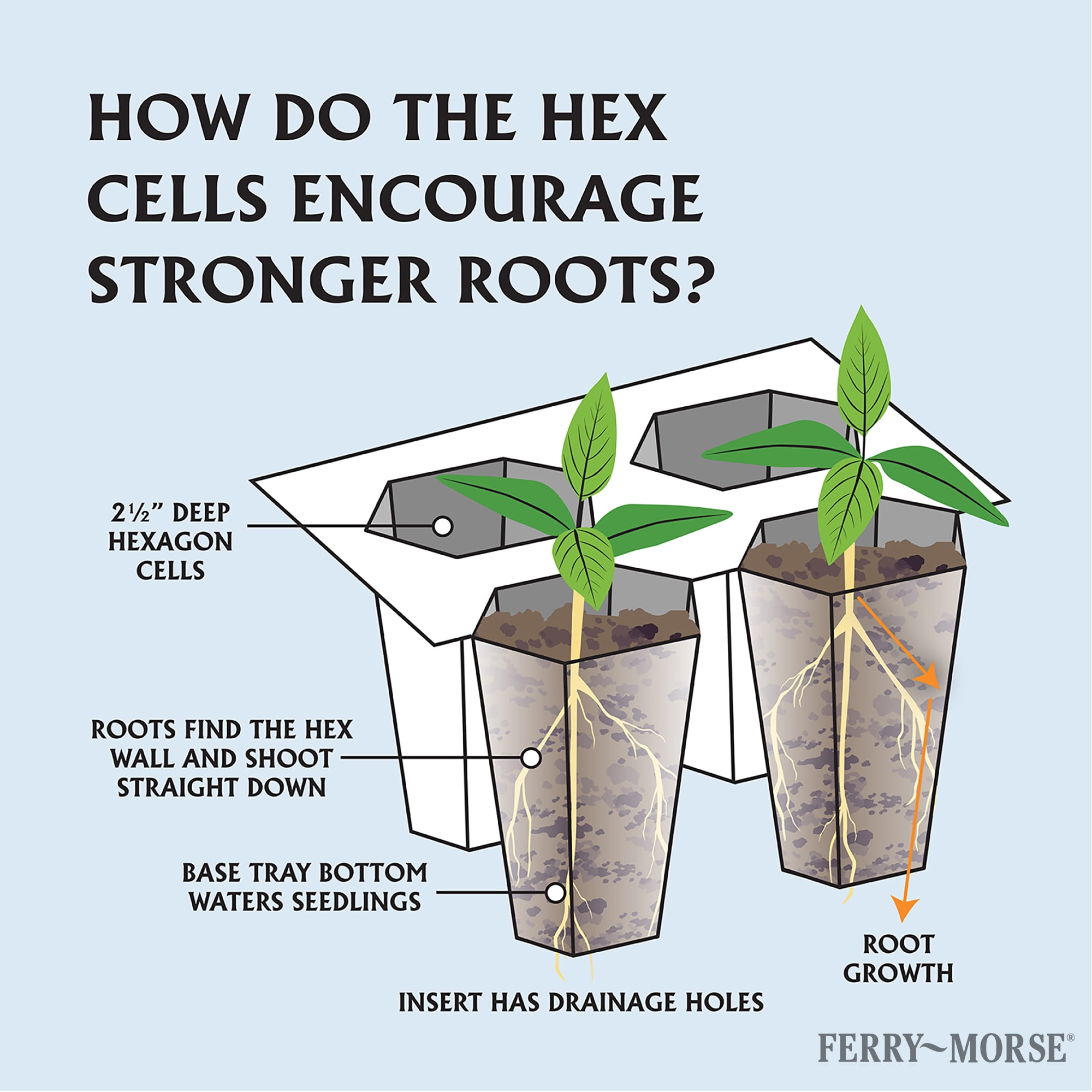 Ferry Morse Pro-Hex Seed Starting Tray 72 Cells - Reusable Plastic Tray