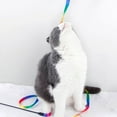 thumbnail image 2 of 2pcs Cat Wand Interactive Toy Colorful Fabric Ribbon Rainbow Cat String Toy Cat Teaser Wand for Kitten Exerciser Accessories Cat Training Playing Creative Funny Indoor Pet Interactive T, 2 of 5