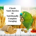 thumbnail image 2 of Lafeber Classic Nutri-Berries Parrot Food - 20 lb Box, 2 of 3