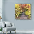 thumbnail image 3 of Trademark Fine Art 'Autumn Tunnel' Canvas Art by Colby Chester, 3 of 4