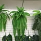 thumbnail image 2 of 4 piezas de plantas artificiales, vides, helechos, vegetación , planta colgante de ratán, plantas de plástico libre para pared, interior Macarena Ratán persa artificial, 2 of 8