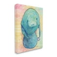 thumbnail image 3 of Stupell Industries Aquatic Manatee Among Fish Rainbow Watercolor Detail Painting Gallery Wrapped Canvas Print Wall Art, Design by Steve Vanderbosh, 3 of 5