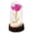 Hot Pink, variant on Forever Rose Flower Valentines Gifts for Her,Birthday Gifts for Women,Valentines Day Flowers Gifts for Mom,Women,Her,Wife,Grandma,Light Up Rose in Glass Dome,Red