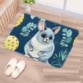 thumbnail image 5 of Animal Non-Slip Polyester Kitchen Mat Indoor Rug Area Rugs Machine Washable Indoor Mat, 5 of 6