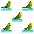 thumbnail image 3 of tssuouriy Safe Ingredient Bird Toy For Attention Catcher And Mood Lightener Parrot Scratching Stick Toy Bird as shown 5Set, 3 of 3