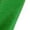 Green, variant on Belly Dance Pants Women Satin Sequins Tassel Pants Arabian Uniform Adults Dance Outfits Purple L