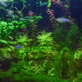 thumbnail image 4 of Queilt Size 300×30×2cm Shunting Aquarium Filter Bio Foam Sponge Filter Buffer,Can be cut, 4 of 5