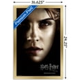 thumbnail image 3 of Harry Potter and the Deathly Hallows: Part 1 - Hermione One Sheet Wall Poster, 14.725" x 22.375", Framed, 3 of 3