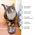 thumbnail image 3 of Personalized Large Cat Bowl - Dishwasher Safe - Inside and Outside Engraving - Custom Stainless Steel Non Slip 64 Oz Cat Bowls with Cat's Name, Insulated Cat Dishes, for Food or Water, Double Wall, 3 of 5