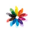 thumbnail image 2 of Ooly Crayones LEFT RIGHT - 133-5 - ideal para zurdos, 12 pzs OOLY 133-5, 2 of 7