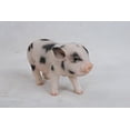 thumbnail image 3 of Hi-Line Gift Ltd Bébé Cochon Debout avec Taches Noires, 3 of 4
