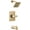 Champagne Bronze, variant on Delta T14437-SS Velum Monitor 14 Series Tub And Shower Trim Package - Brilliance Stainless