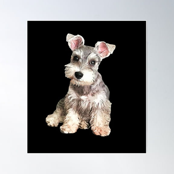 Miniature Schnauzer Poster, 12x18 UNFRAMED
