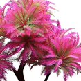 thumbnail image 4 of Artificial Aquarium Plant Realistic Decorative Aquatic Plant Fish Tank Decor, 4 of 10