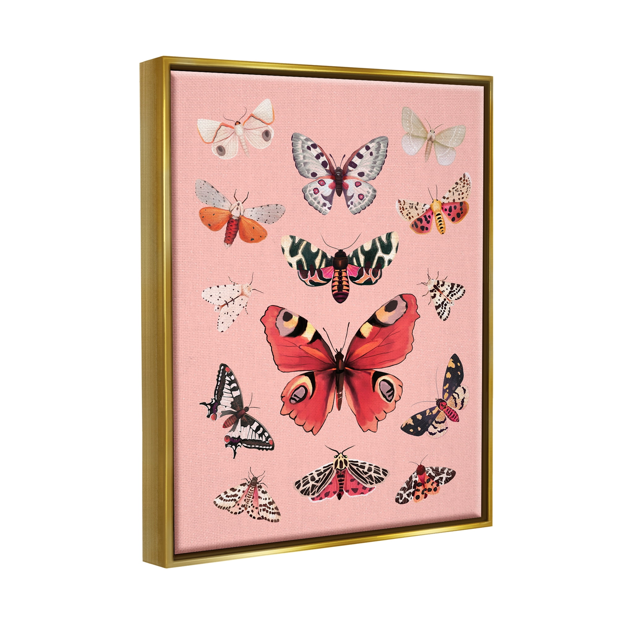 Stupell Industries Various Moths on Pink Animals & Insects Painting Gold Floater Framed Art Print Wall Art, 17 x 21