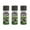 Deep Forest Green, variant on Rust-Oleum 279177-3PK Camouflage 2X Ultra Cover Spray Paint, Khaki, 12 Ounce Pack of 3