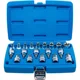 thumbnail image 1 of Juego de DADOS CON PUNTA Torx BGS 5100 19 PZ, 1 of 5