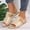 #0004-Beige, variant on Women's Peep Toe Flats, Double Strap Faux Leather Slide Slippers, Breathable Open Toe Everyday Sandals, Versatile Spring Summer Casual Footwear Gift