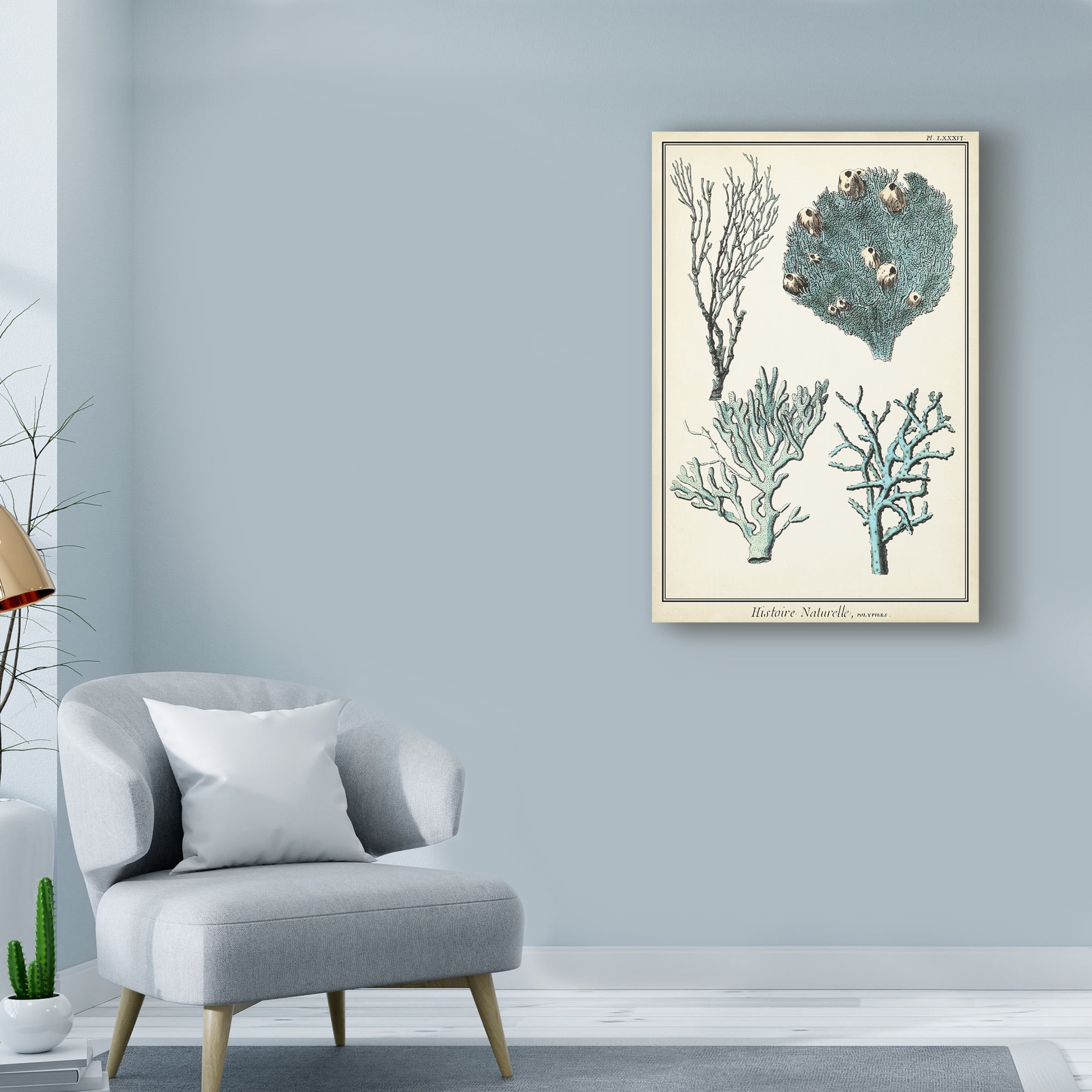 Trademark Fine Art 'Oversize Coral Species II' Canvas Art by Vision Studio