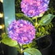 thumbnail image 5 of Luces solares para jardín al aire libre, luz solar decorativa para jardín, fiesta, pasarela, patio, boda, luz solar, 5 of 7