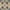 Dark Green/Beige, variant on SAFAVIEH Madison Dayna Trellis Bordered Area Rug, Grey/Beige, 5'3" x 7'6"