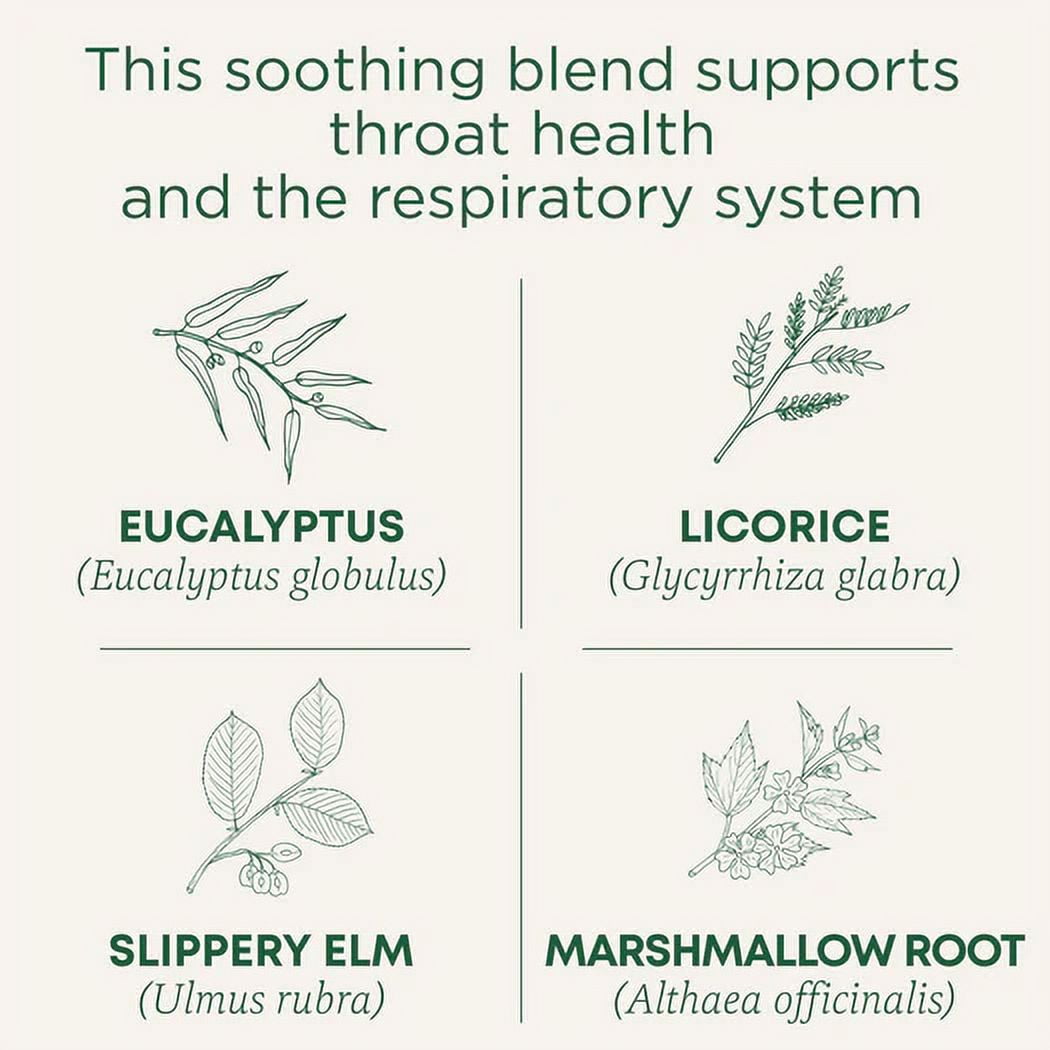 (4 pack) Traditional Medicinals Tea, Organic Throat Coat Eucalyptus, Tea Bags, 16 Count