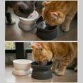 thumbnail image 3 of Cat Food Bowls Elevated Cat Bowls for Food and Water with Base Stand Kitty Bowl 10° Raised Single Bowl, 3 of 15