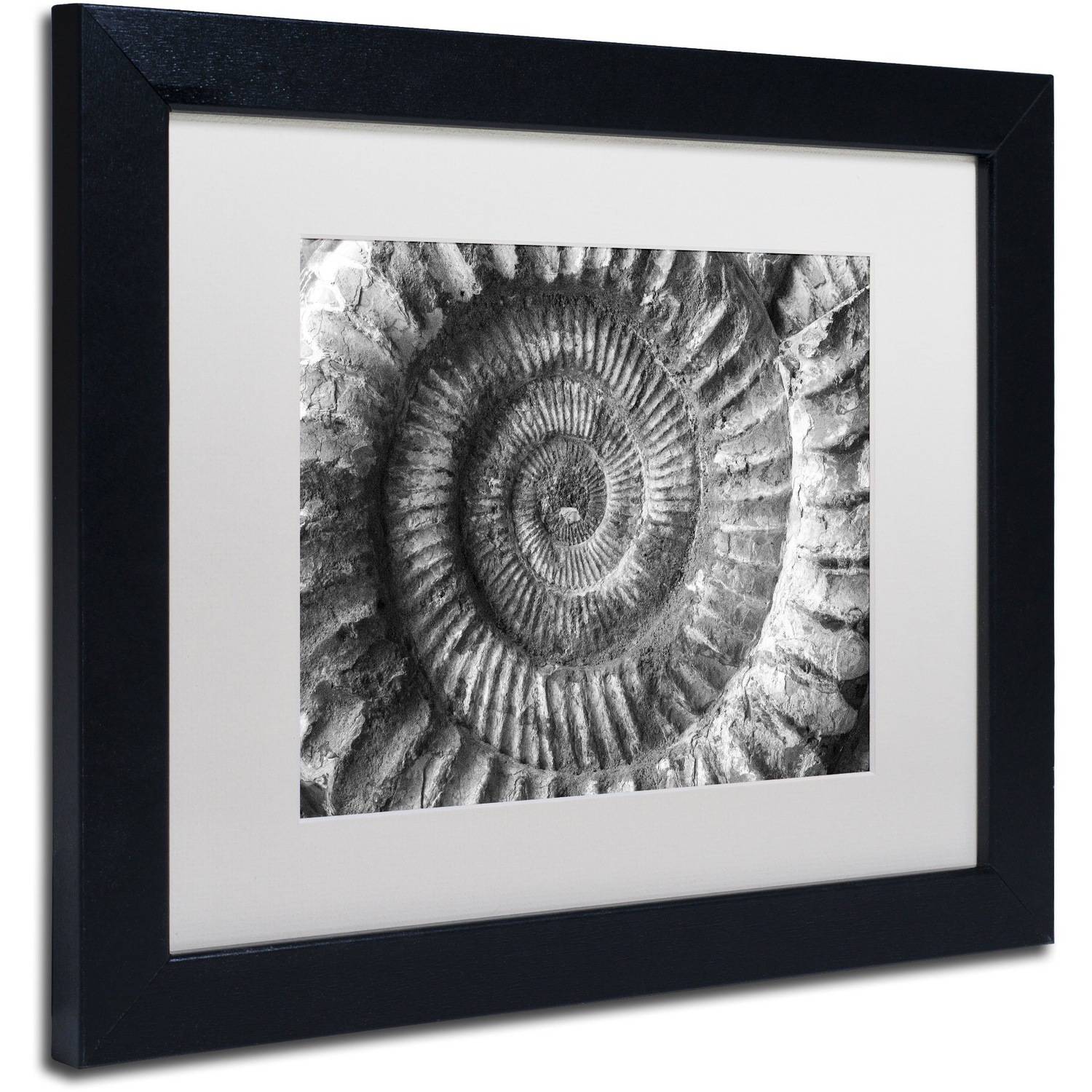 Trademark Fine Art "Amonita 2" Canvas Art by Moises Levy White Matte, Black Frame