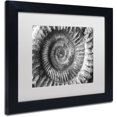 thumbnail image 2 of Trademark Fine Art "Amonita 2" Canvas Art by Moises Levy White Matte, Black Frame, 2 of 4
