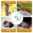 thumbnail image 3 of Small Animal Traps Mouse Trap,Spring Trapt Cage,Suit for Rat,Reusable, 10Pack, 3 of 5