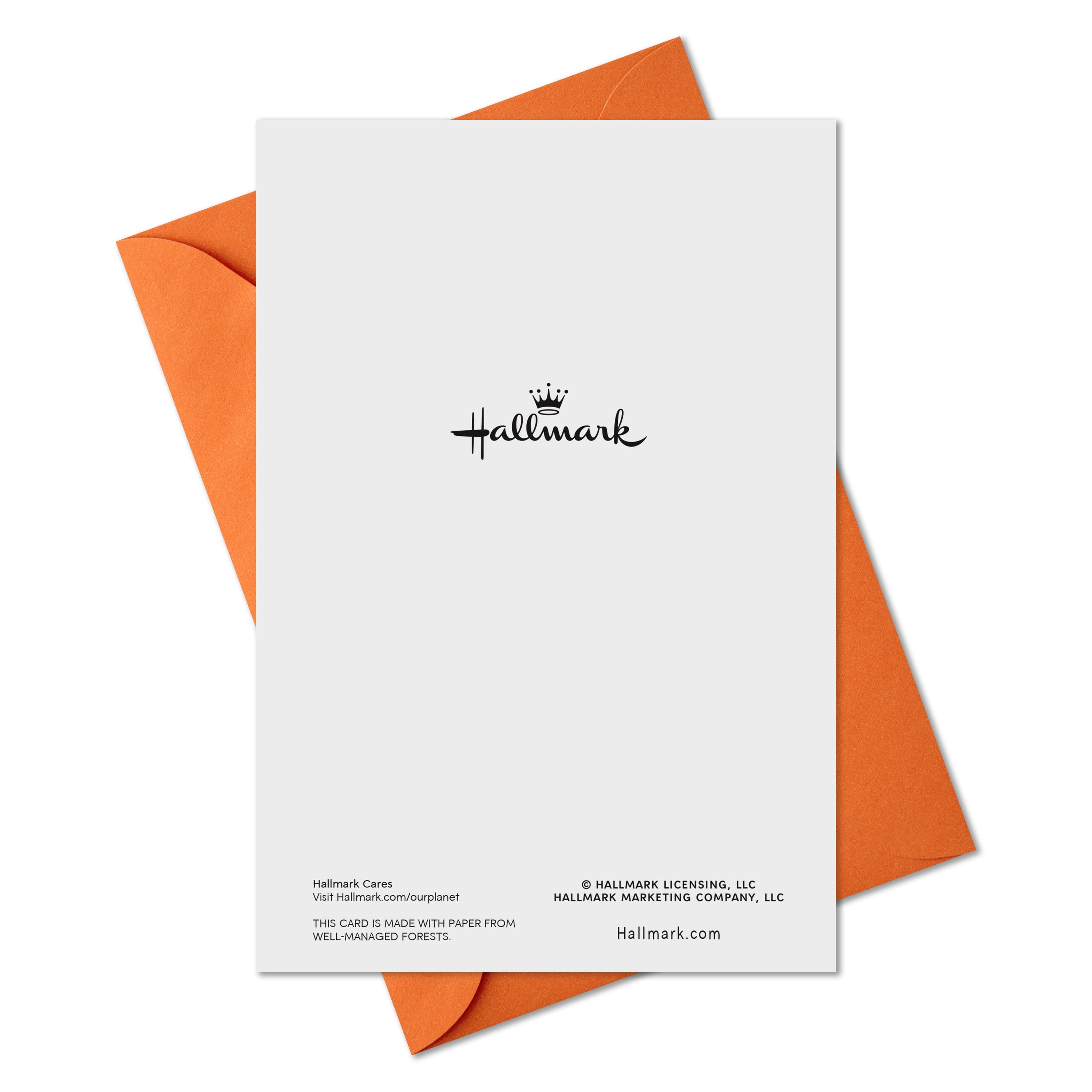 Hallmark Halloween Cards (Happy Pumpkin Day), Pack of 6, 6 Count