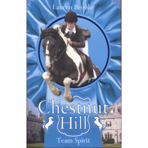 Pre-Owned Team Spirit (Chestnut Hill) (Paperback) 140713079X 9781407130798