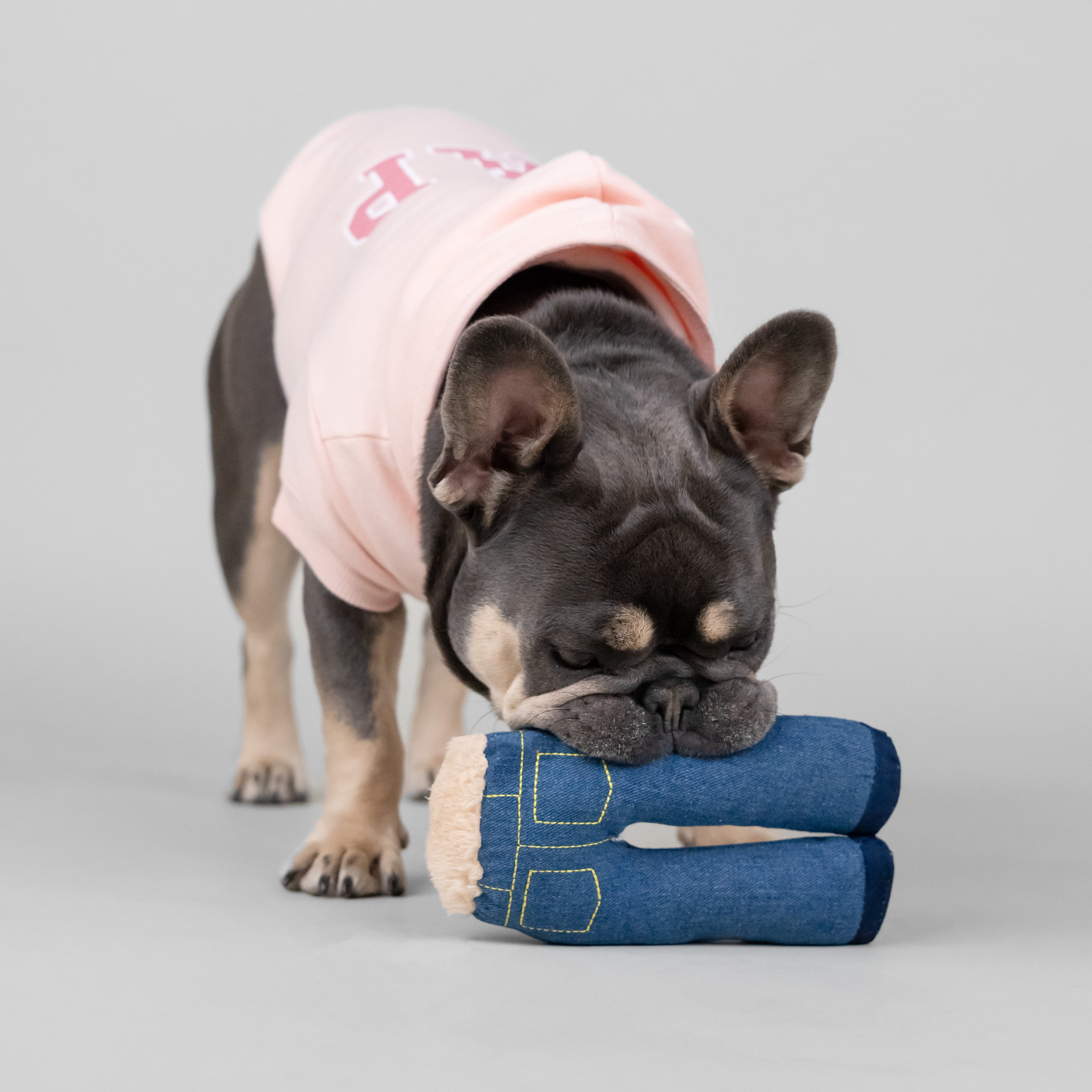 Gap Pet Dog and Cat Clothes, Classic Gap Logo Pet Hoodie, Pink