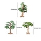 thumbnail image 5 of Advancent Miniature Trees Plastic Artificial Plants Large Landscape Ecological Toys and Forest Wild Ornament Simulation Small Decoración del hogar 10cm, 5 of 6