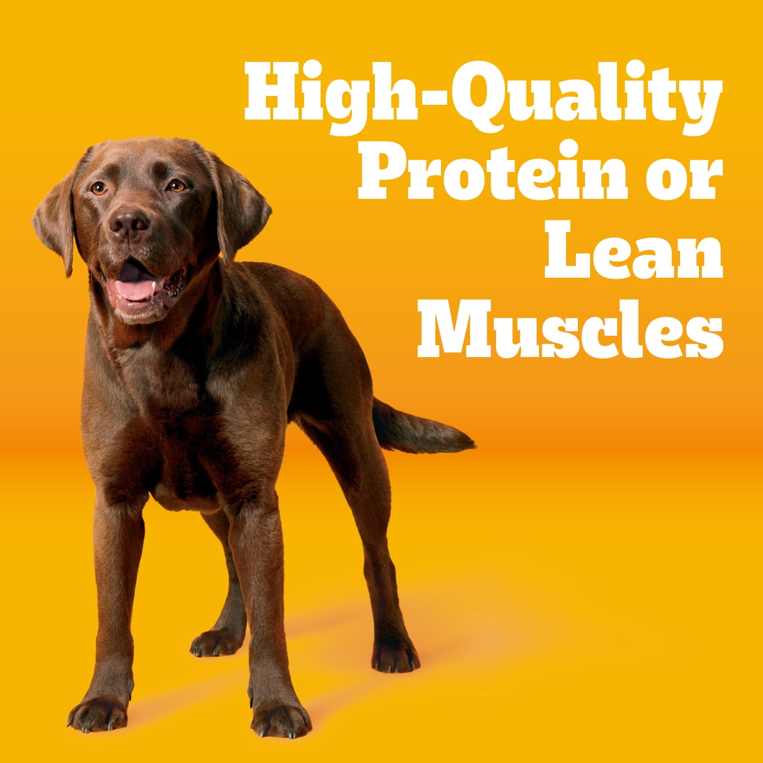 Pedigree With Tender Bites Complete Nutrition Adult, Chicken & Steak Flavor Dry Dog Food, 40 lb Bag