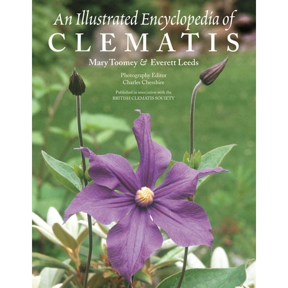 An Illustrated Encyclopedia of Clematis, (Paperback)