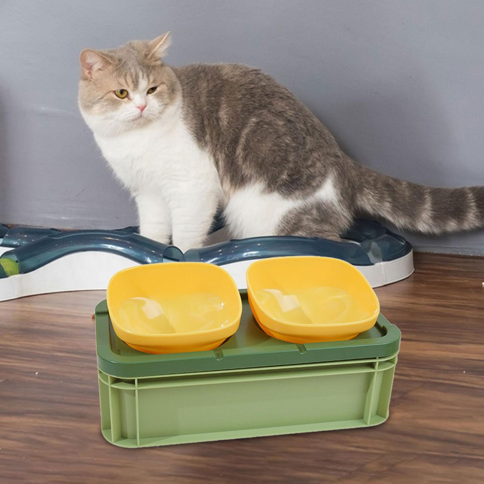 Gazechimp Raised Cat Bowl Cat Feeding Dish for Cats Cat Dog Feeder Anti Slip Protect Pet's Green