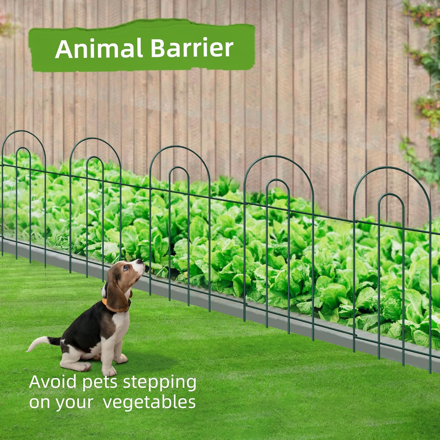 Decorative Garden Fence Border 32in X 20ft Green No  Temporary Iron Wire  Fencing for Yard