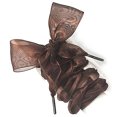 thumbnail image 1 of 1 Paire Lacets Mode Ruban Chiffon Décontracté Lacets Plats, 1 of 8