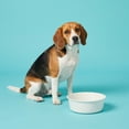 thumbnail image 2 of Vibrant Life Medium 4-Cup Stainless Steel Bone Textured Pet Bowl, White, 2 of 10