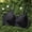 🔥 Black, variant on Everyday Bras Pushup Bras for Women Tshirt Bras for Women No Underwire Breathable Casual Push-Up Bra Solid Color Breathable Wireless Seamless Everyday Lingerie Stretch Fabric Light Lift