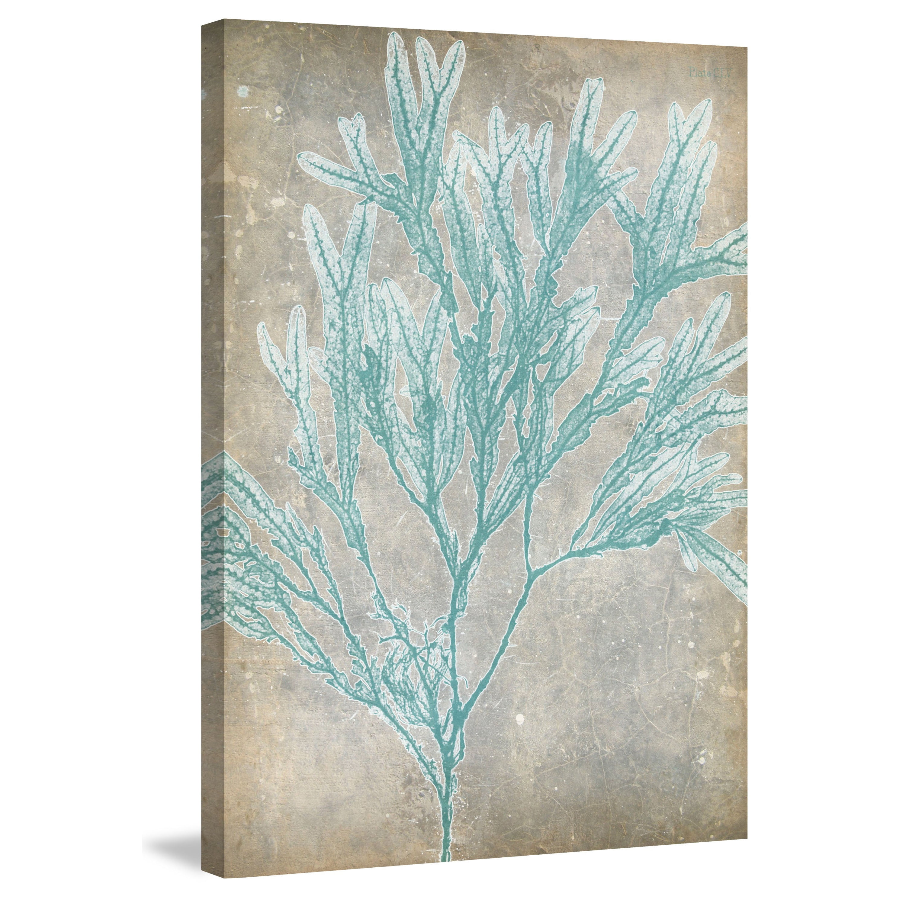 Marmont Hill "Spa Seaweed I" Painting Print on Wrapped Canvas