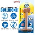 thumbnail image 2 of Bullibone Large Beef Flavored Dental Chew Toy for Dogs, 2 of 7