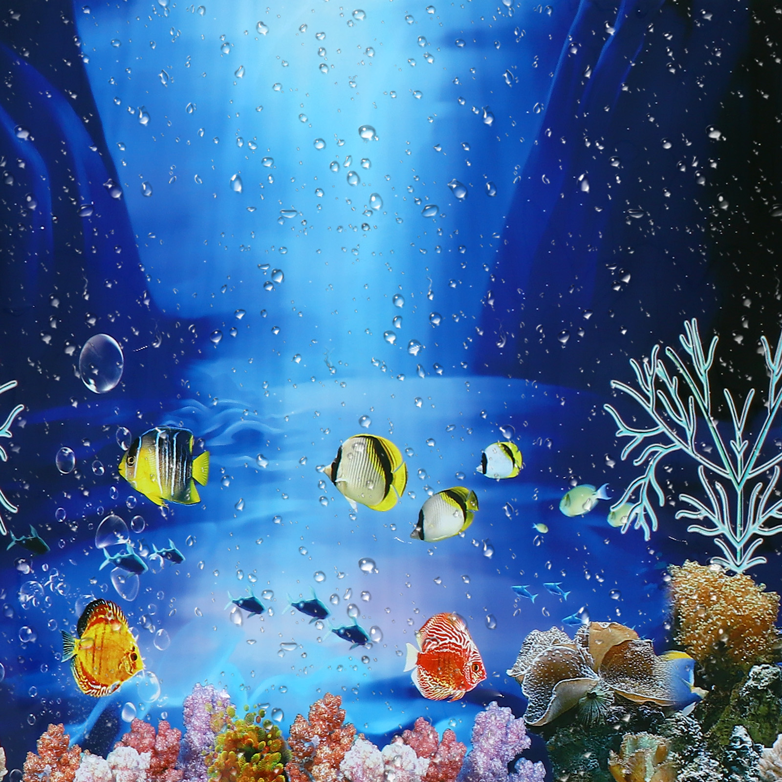 How To Paint The Background Of Your Aquarium (DIY Aquarium Background) —  Bay Area Aquatics