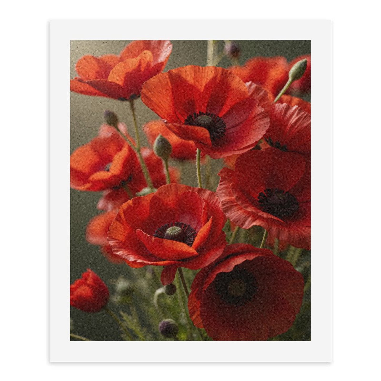 Paint by Numbers Kit for Adults, Bright Red Poppy Blossoms Paint by Numbers, Easy Paint by Numbers Kit for Adults Beginner, DIY Adult Paint by Number Kits on Canvas, 12x16in Home Decor