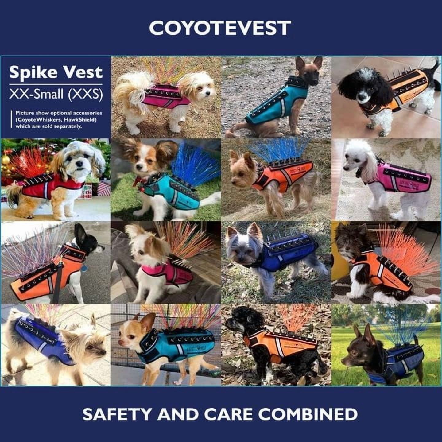 CoyoteVest SpikeVest (XS - Fluorescent Orange) Dog Harness Vest for Small Dogs, Reflective Dog Vest with Spikes to Shield Your pet from Coyotes, Raptor and Animal Attacks, Anti Hawk Vest, Made in USA
