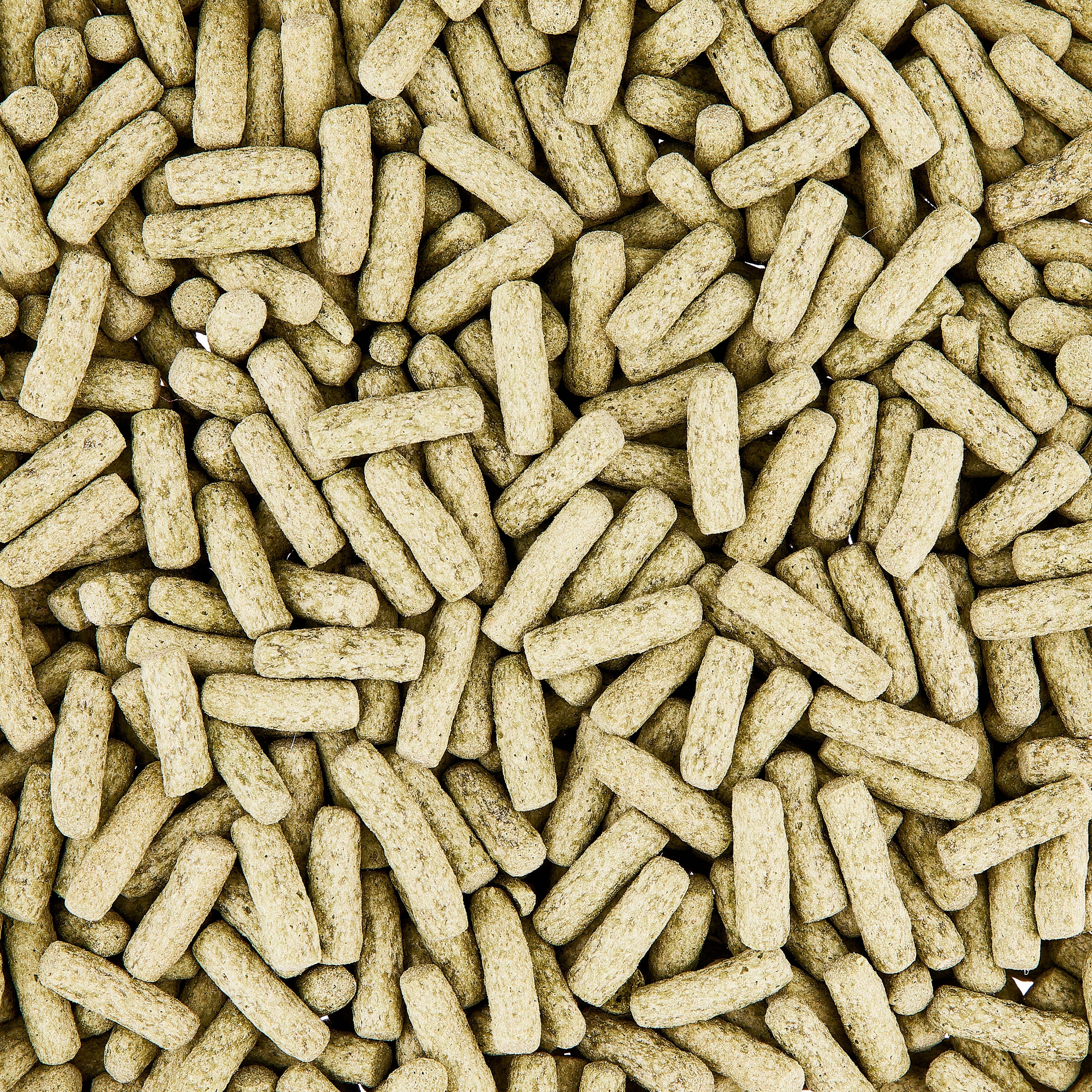 (3 pack) Vibrant Life Aquatic Turtle Diet, Insect-Based Pellets, 3 oz