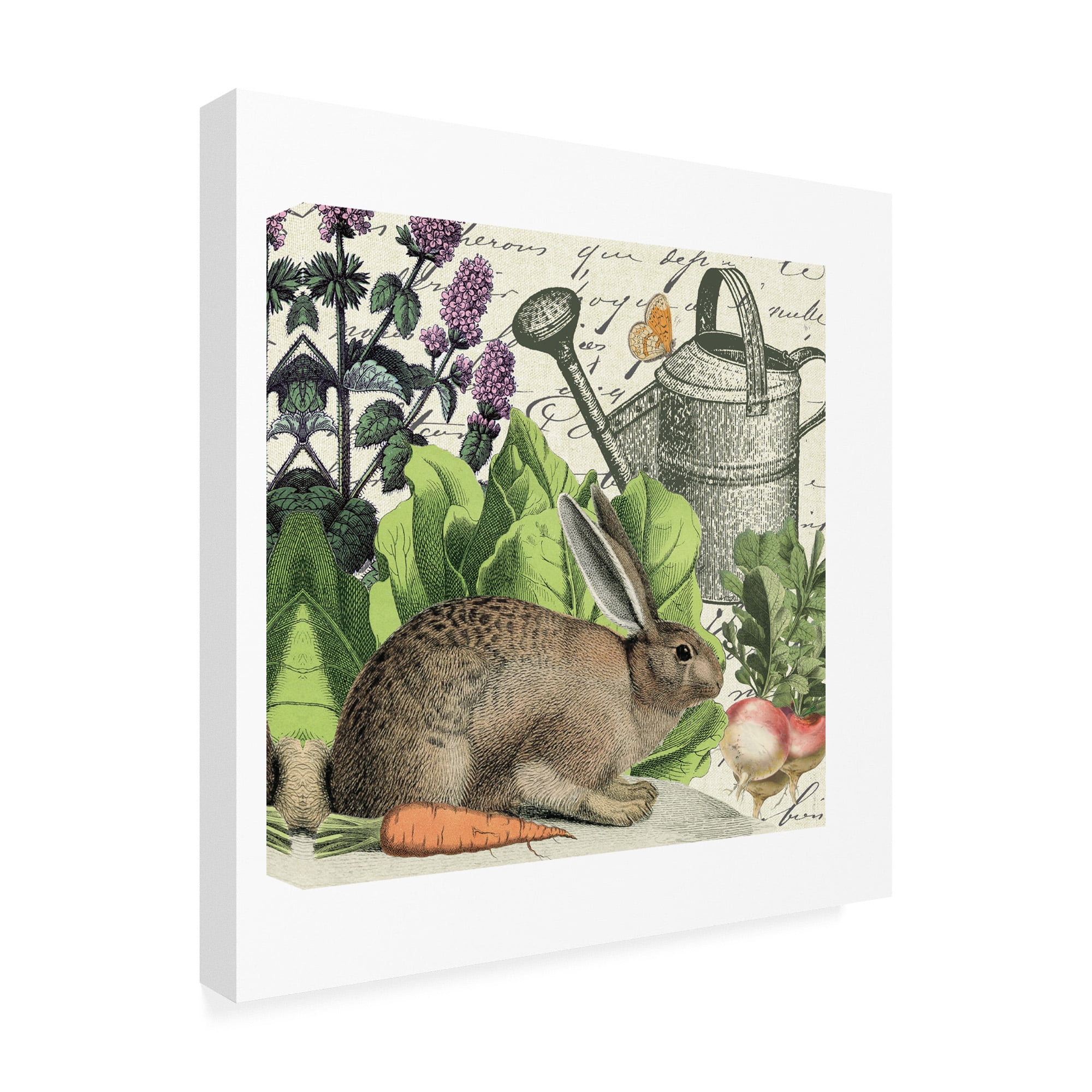 Trademark Fine Art 'Garden Rabbit I' Canvas Art by Wild Apple Portfolio