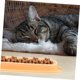 thumbnail image 4 of Plastic Food and Water Bowl for Cats and Dogs, NonSlip Portable Pet Dish for Kittens and Puppies, Accessory for Comfortable Eating and Drinking, 4 of 5